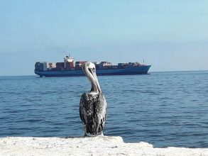 IMG-20180526-WA0053 - copia