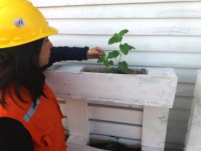 20180605_115423 - copia