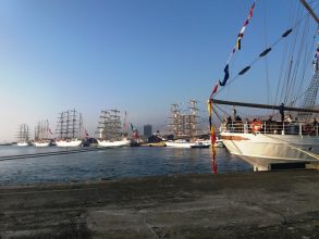 20180608_164654 - copia (2)